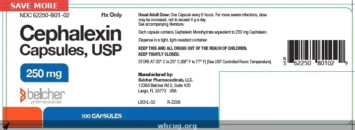 Cephalexin